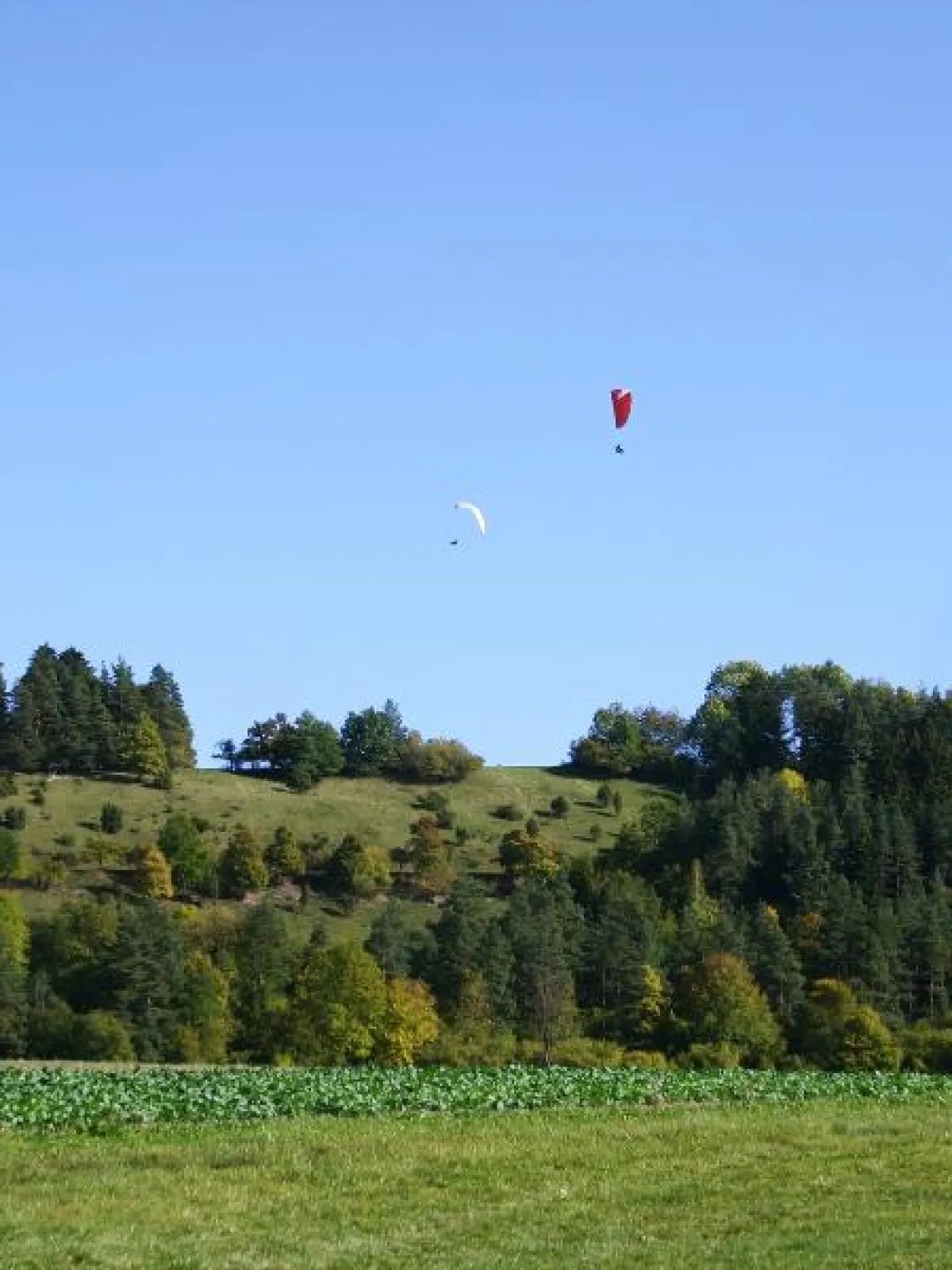 Gleitschirmflieger über bewaldeten Hügeln